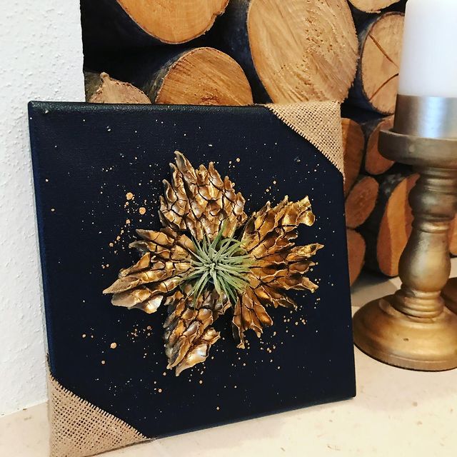 Die Goldene Tillandsia 20×20