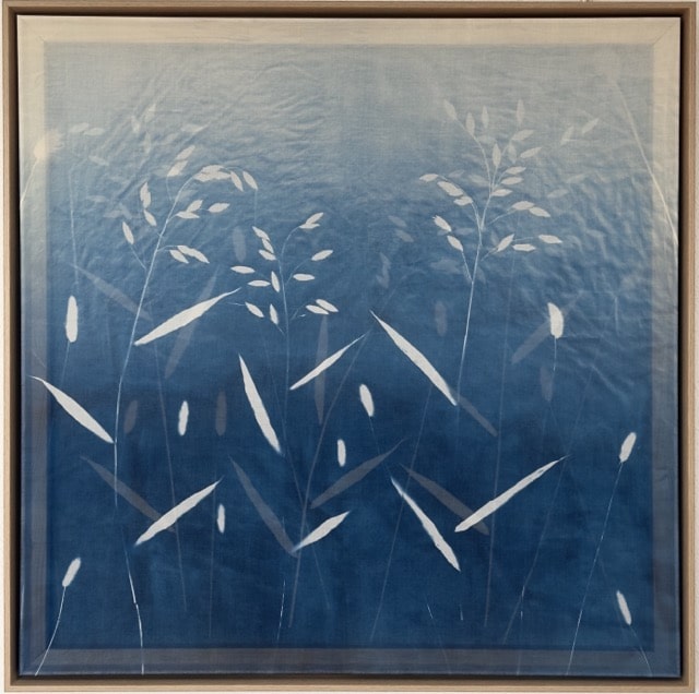 Untitled 1, 2025/26  Cyanotypie auf Baumwolle, zweischichtig, 80 × 80 cm