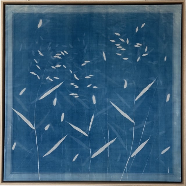 Untitled 2, 2025/26  Cyanotypie auf Seide, dreischichtig, 80 × 80 cm